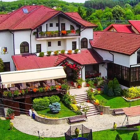 Отель Casa Domneasca Куртя-де-Арджеш Экстерьер фото